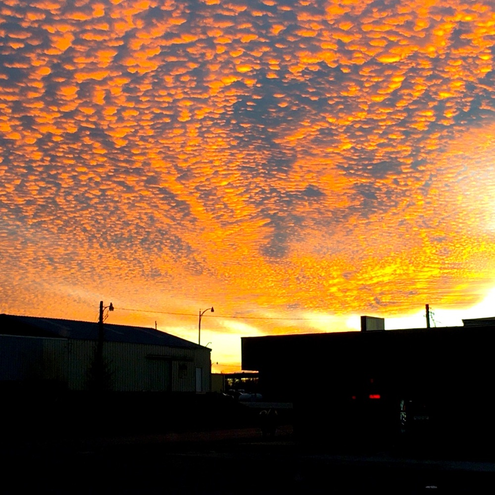 Meet your Posher, Whitney - Picture 12 of 13